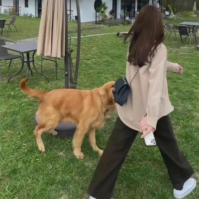 透明人2
